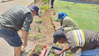 IPTGSA - Hector Peterson 